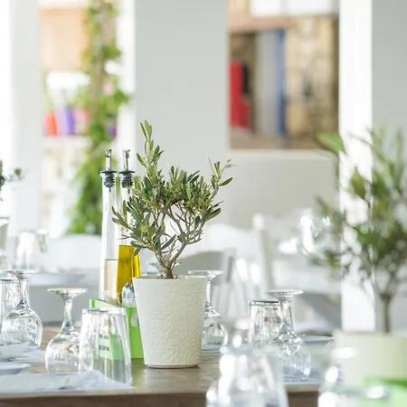 贝利西莫度假酒店 酒店